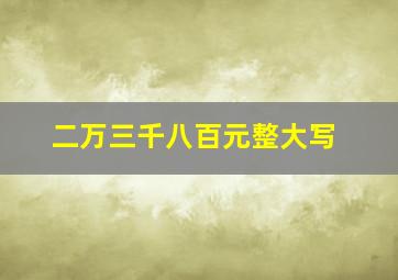 二万三千八百元整大写