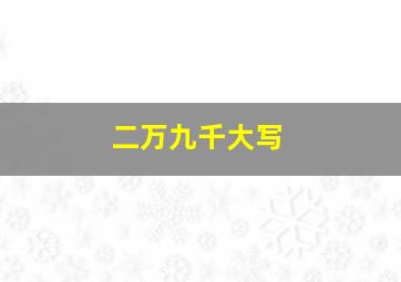 二万九千大写