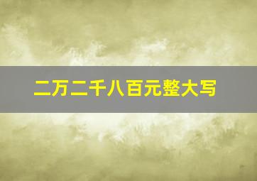 二万二千八百元整大写