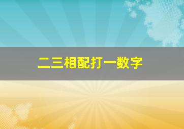 二三相配打一数字