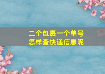 二个包裹一个单号怎样查快递信息呢