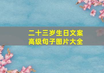 二十三岁生日文案高级句子图片大全