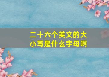 二十六个英文的大小写是什么字母啊