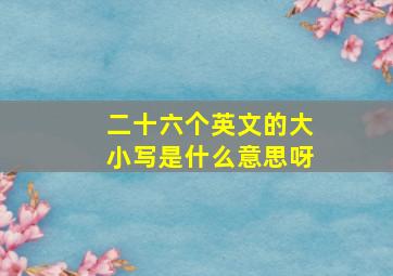 二十六个英文的大小写是什么意思呀