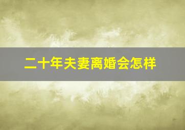 二十年夫妻离婚会怎样