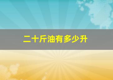 二十斤油有多少升