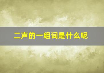 二声的一组词是什么呢