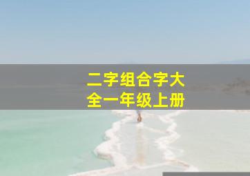 二字组合字大全一年级上册