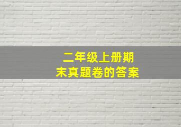 二年级上册期末真题卷的答案