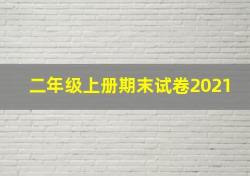 二年级上册期末试卷2021