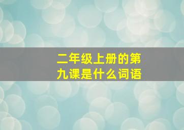 二年级上册的第九课是什么词语