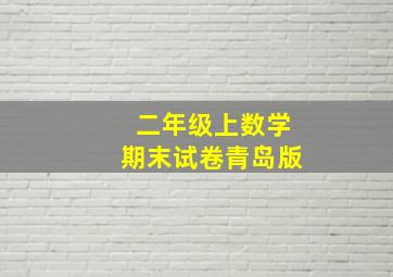 二年级上数学期末试卷青岛版