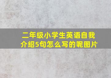 二年级小学生英语自我介绍5句怎么写的呢图片