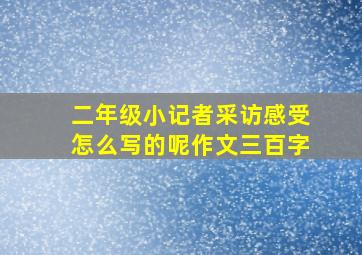 二年级小记者采访感受怎么写的呢作文三百字