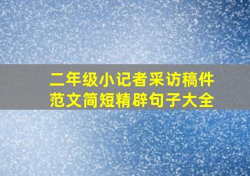 二年级小记者采访稿件范文简短精辟句子大全