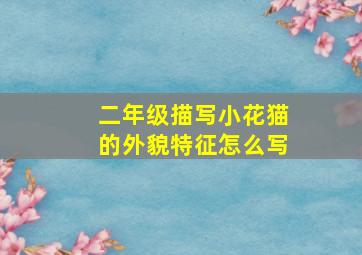 二年级描写小花猫的外貌特征怎么写