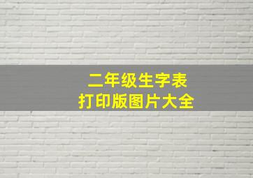 二年级生字表打印版图片大全