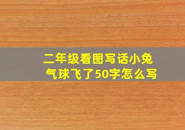 二年级看图写话小兔气球飞了50字怎么写