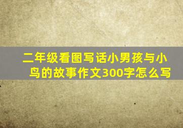 二年级看图写话小男孩与小鸟的故事作文300字怎么写