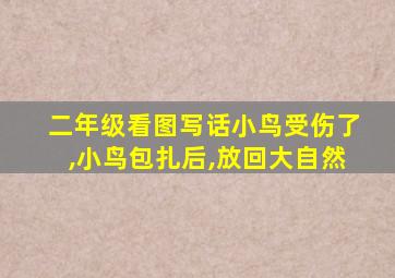 二年级看图写话小鸟受伤了,小鸟包扎后,放回大自然