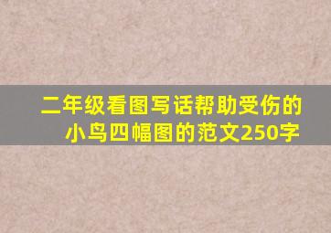 二年级看图写话帮助受伤的小鸟四幅图的范文250字