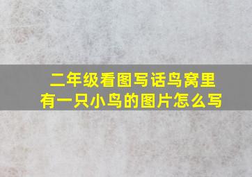 二年级看图写话鸟窝里有一只小鸟的图片怎么写