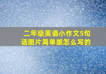 二年级英语小作文5句话图片简单版怎么写的