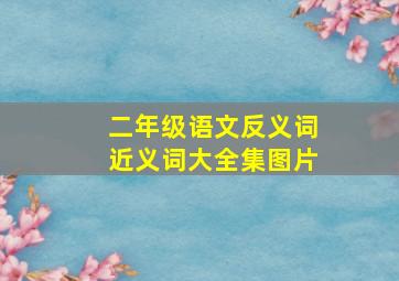 二年级语文反义词近义词大全集图片