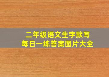 二年级语文生字默写每日一练答案图片大全