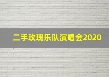 二手玫瑰乐队演唱会2020