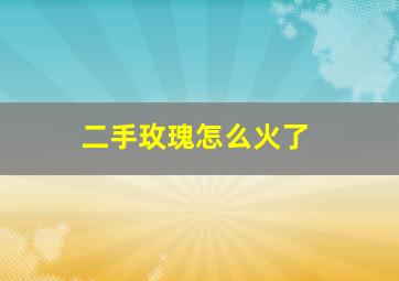 二手玫瑰怎么火了