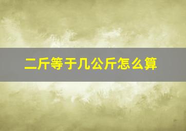 二斤等于几公斤怎么算