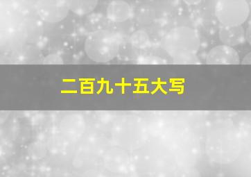 二百九十五大写