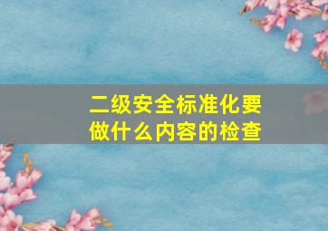 二级安全标准化要做什么内容的检查