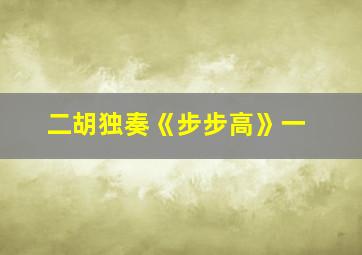 二胡独奏《步步高》一