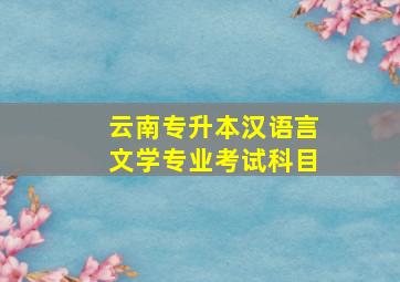 云南专升本汉语言文学专业考试科目