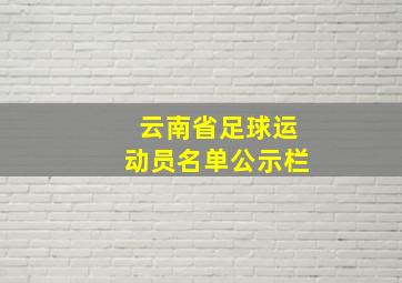 云南省足球运动员名单公示栏