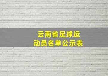 云南省足球运动员名单公示表