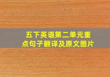 五下英语第二单元重点句子翻译及原文图片