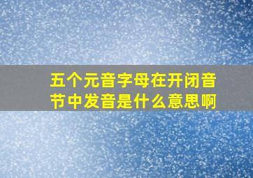 五个元音字母在开闭音节中发音是什么意思啊