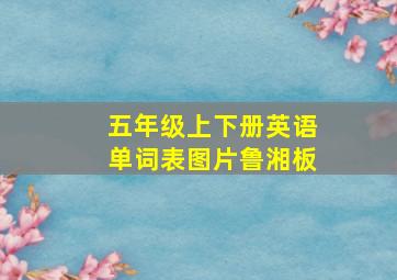 五年级上下册英语单词表图片鲁湘板