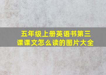 五年级上册英语书第三课课文怎么读的图片大全