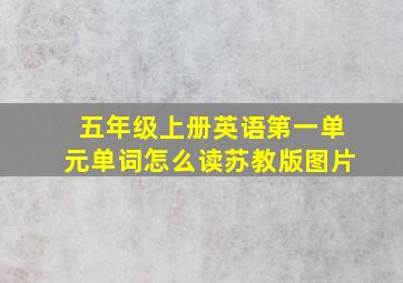 五年级上册英语第一单元单词怎么读苏教版图片