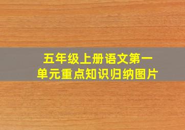 五年级上册语文第一单元重点知识归纳图片