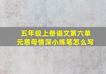 五年级上册语文第六单元慈母情深小练笔怎么写