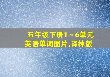 五年级下册1～6单元英语单词图片,译林版