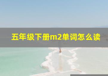 五年级下册m2单词怎么读