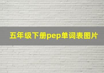 五年级下册pep单词表图片