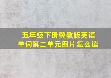 五年级下册冀教版英语单词第二单元图片怎么读