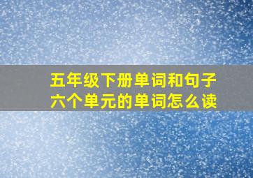 五年级下册单词和句子六个单元的单词怎么读